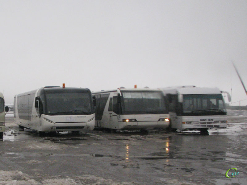 Москва. Neoplan N9022L №619, Neoplan N9122L №621, Cobus 3000 №622