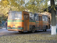 Твой излюбленный вояж побережье барной стойки