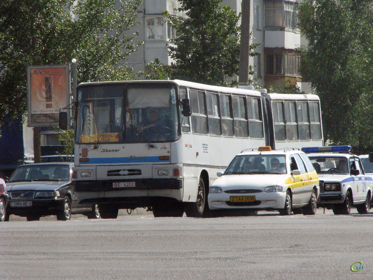 Витебск. Ikarus 280.26 BE4202