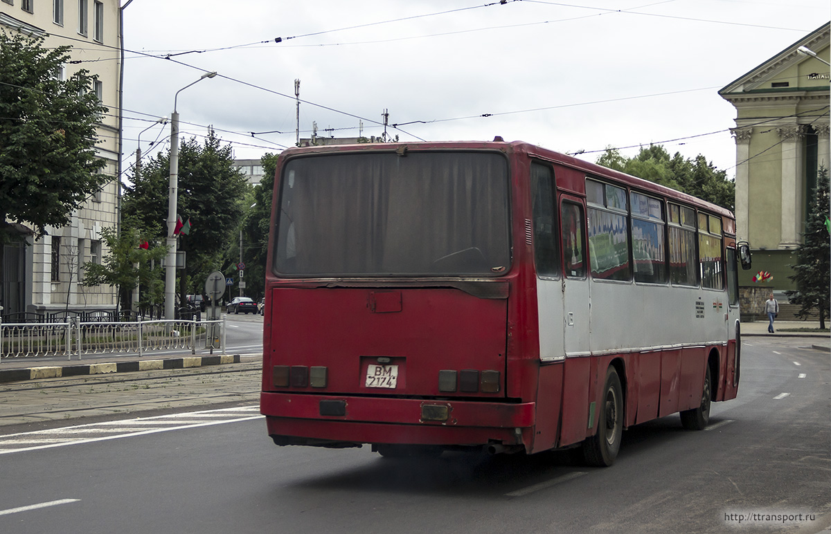 Витебск. Ikarus 256 BM2174