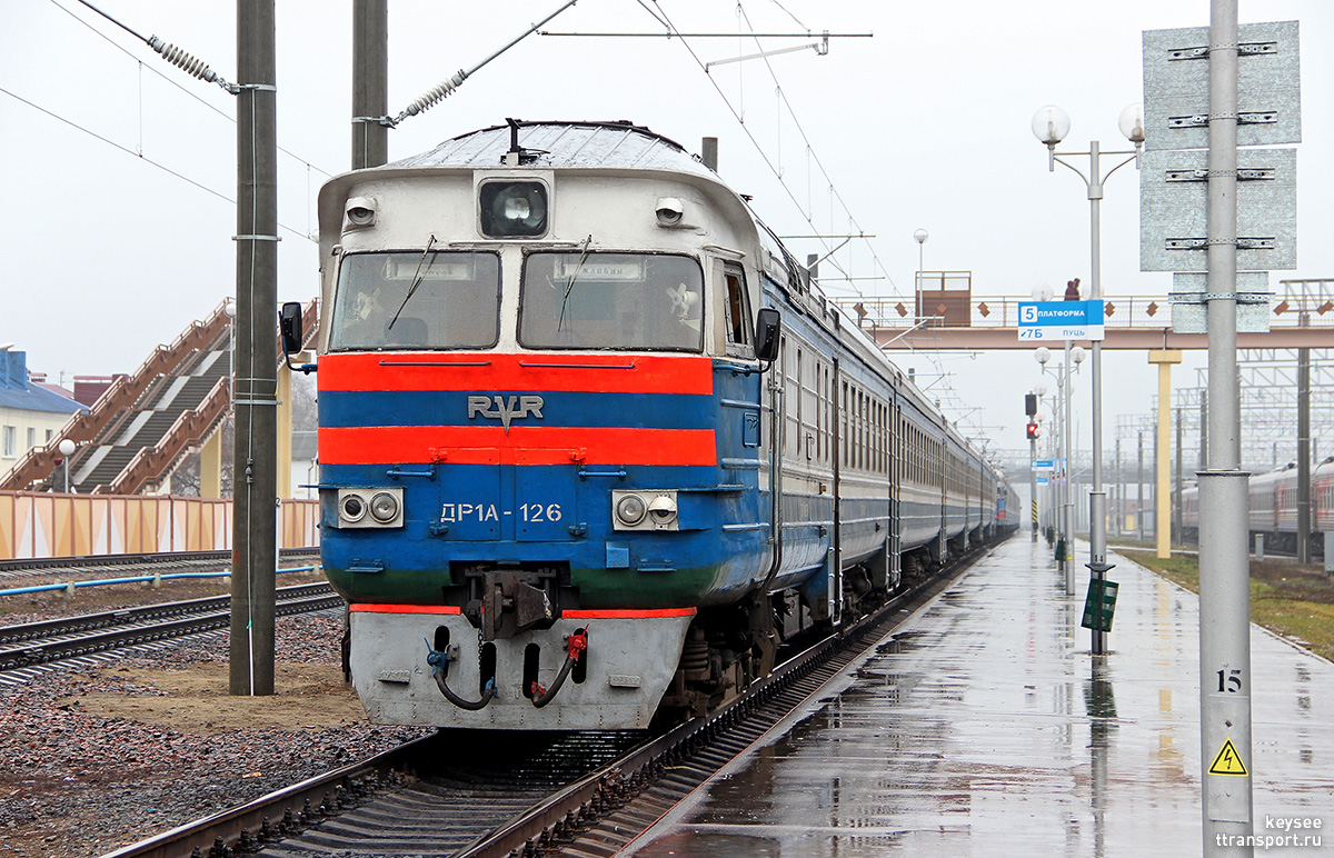 Жлобин бус. Жлобин Гомель. Др1а чарцёж. Поезд в Жлобине. Дизель Гомель Птичь.