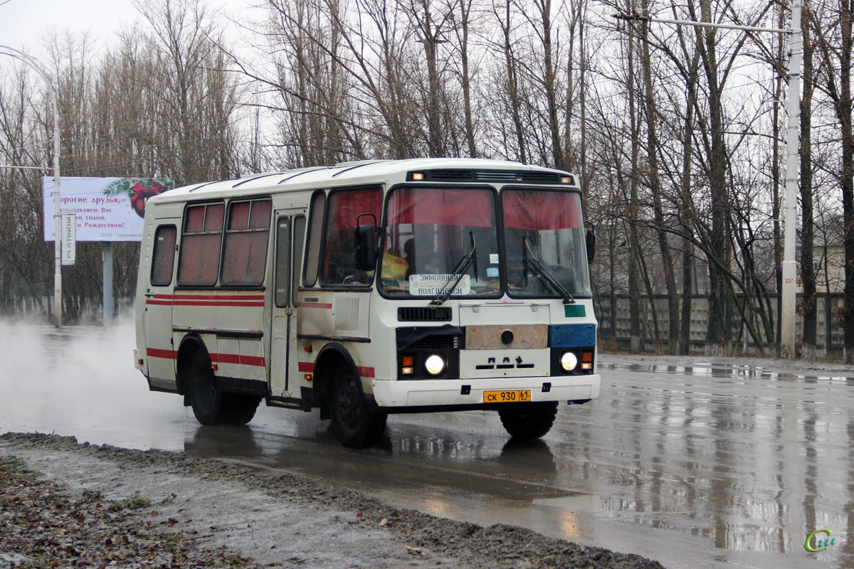 Волгодонск. ПАЗ-3205-110 ск930