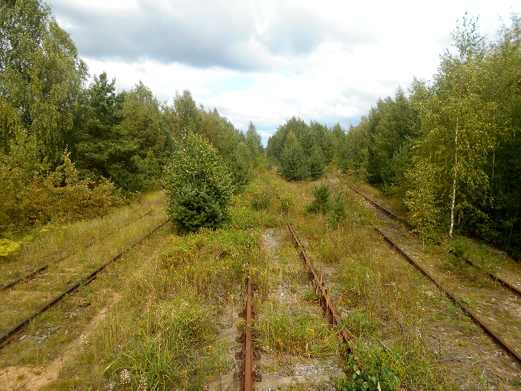 Тверь. Слева - линия на станцию Доронинская, справа - нерабочие подъездные пути к цементному заводу, стрелки на завод демонтированы
