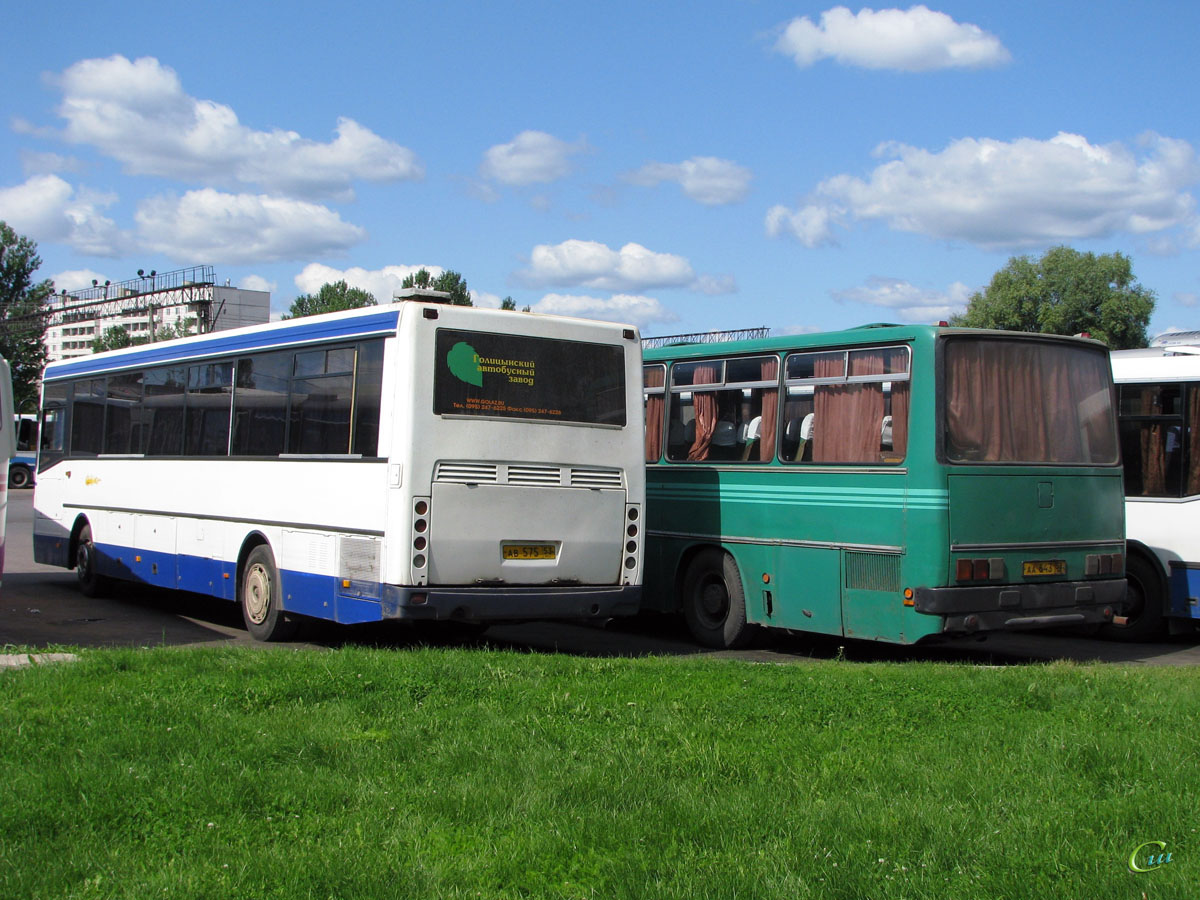 Ikarus 256 аа643, ГолАЗ-5256.33-01 ав575 - Великий Новгород - Фото №49734 -  Твой Транспорт