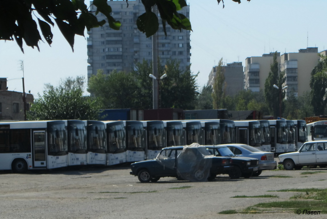 Таганрог. Автобусы МАЗ-206 в гараже ООО Автолайн К