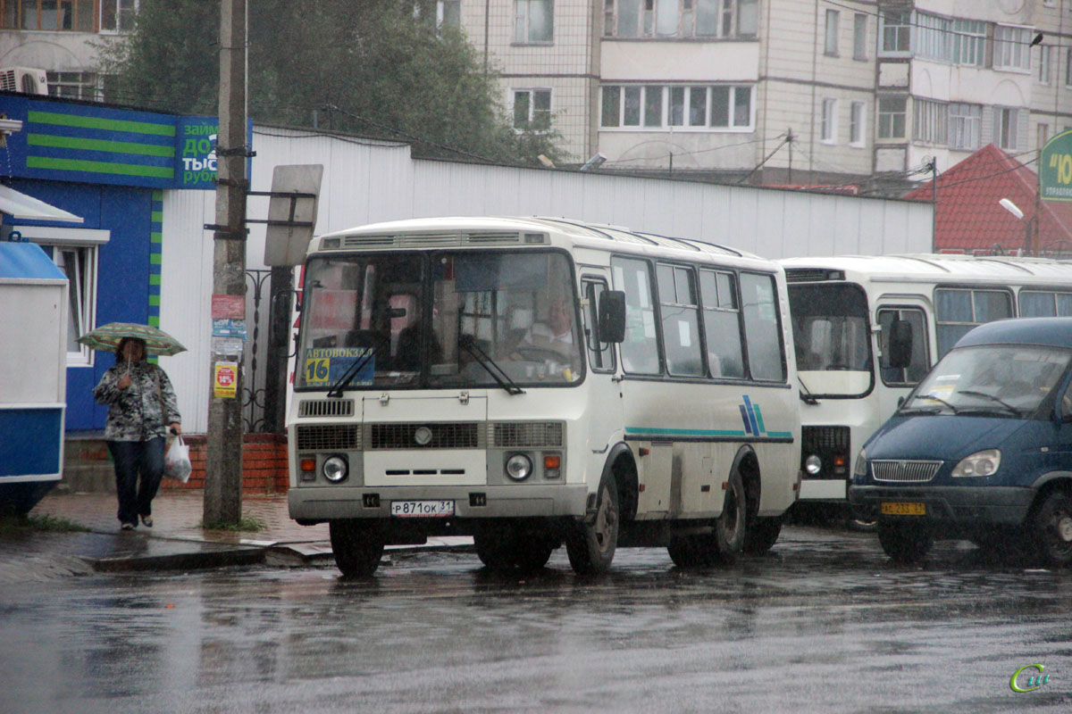 ПАЗ-32053 р871ок - Старый Оскол - Фото №71164 - Твой Транспорт