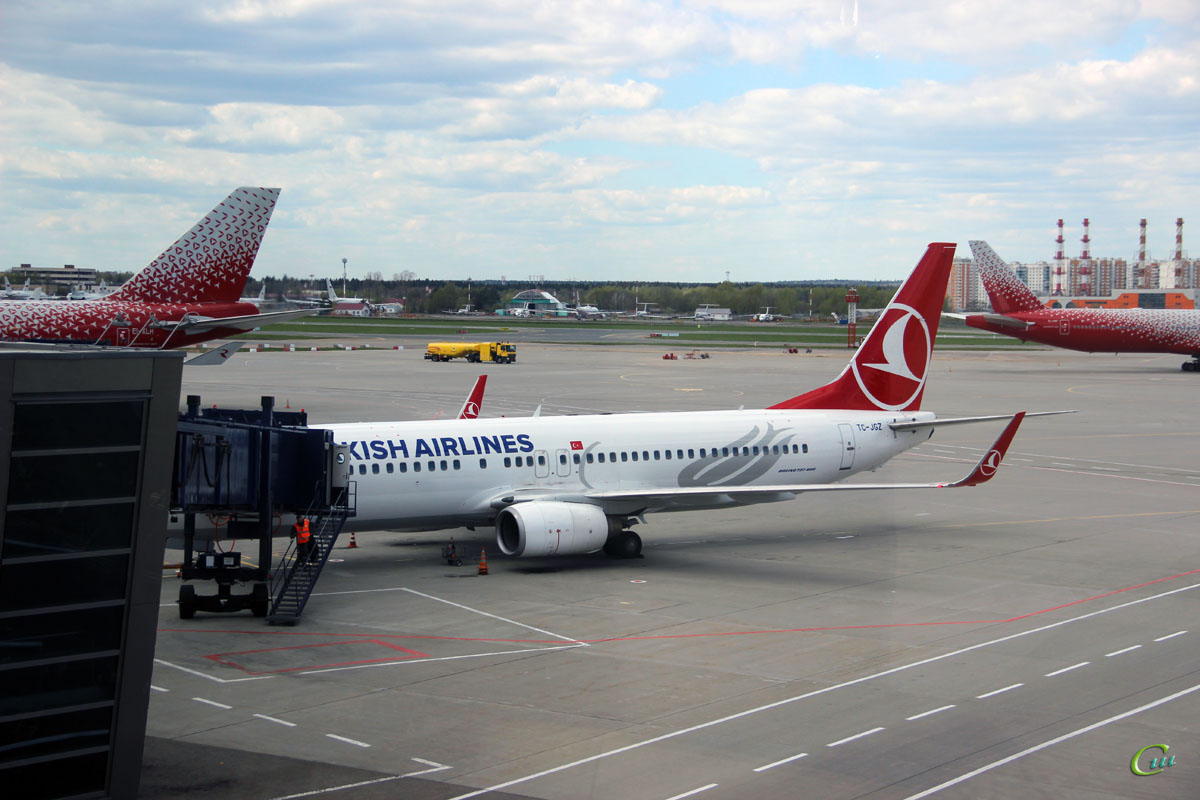 Москва. Самолет Boeing 737-800 (TC-JGZ) авиакомпании Turkish Airlines