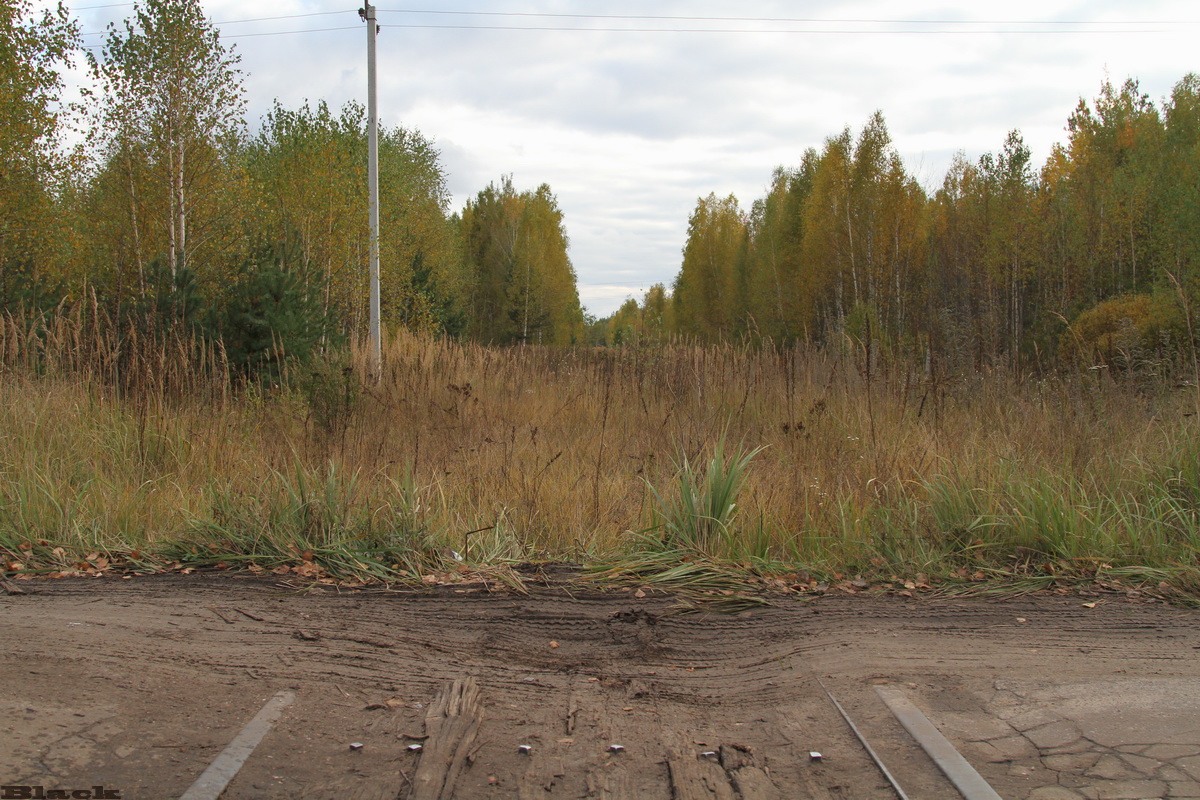 Рязань. Вид в сторону бывшей торфоперегрузочной станции Мещёра (Торфяная)