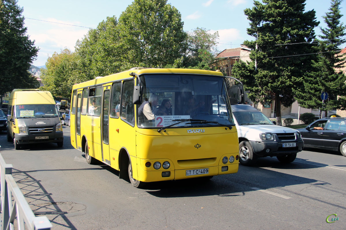 Тбилиси. Богдан А09201 TTC-409