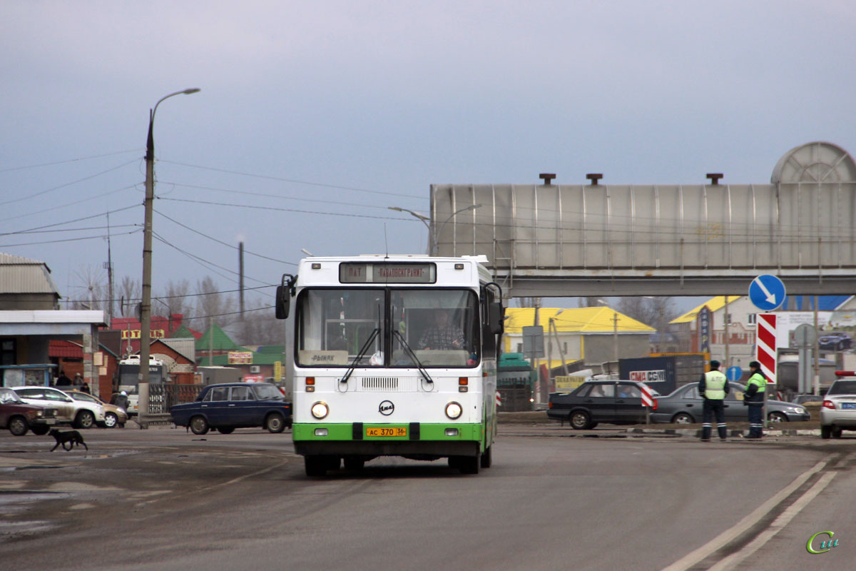 Никольское тосно автобус. Автостанция Павловск. Автобус 370. Тосно автовокзал. Тосно автобус.