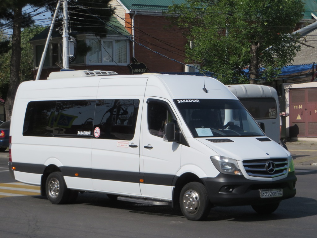 Анапа. Луидор-223602 (Mercedes-Benz Sprinter) а222ке