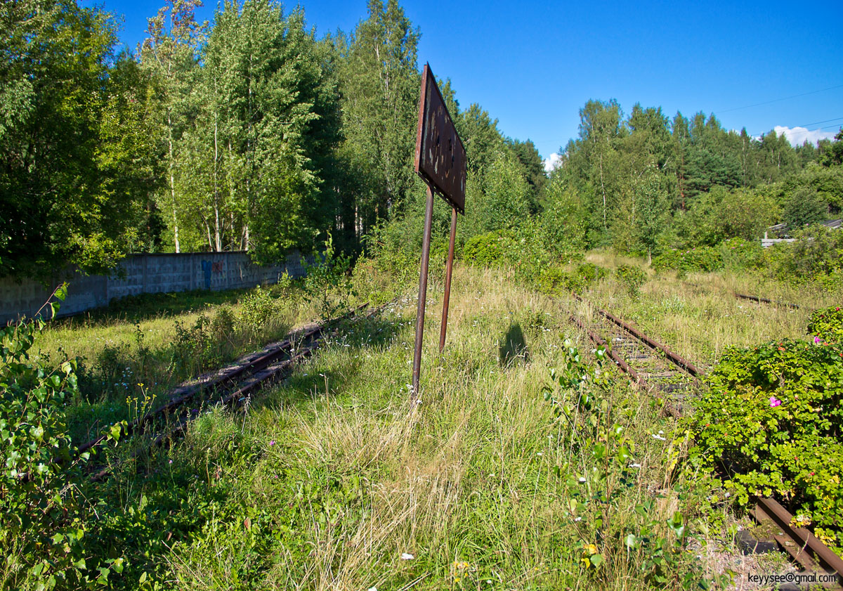 Станция лесная фото. Лесная (станция, Горьковская железная дорога). Станция Лесная Санкт-Петербург. Станция Лесная Иркутская область. Станция Лесная Беларусь.