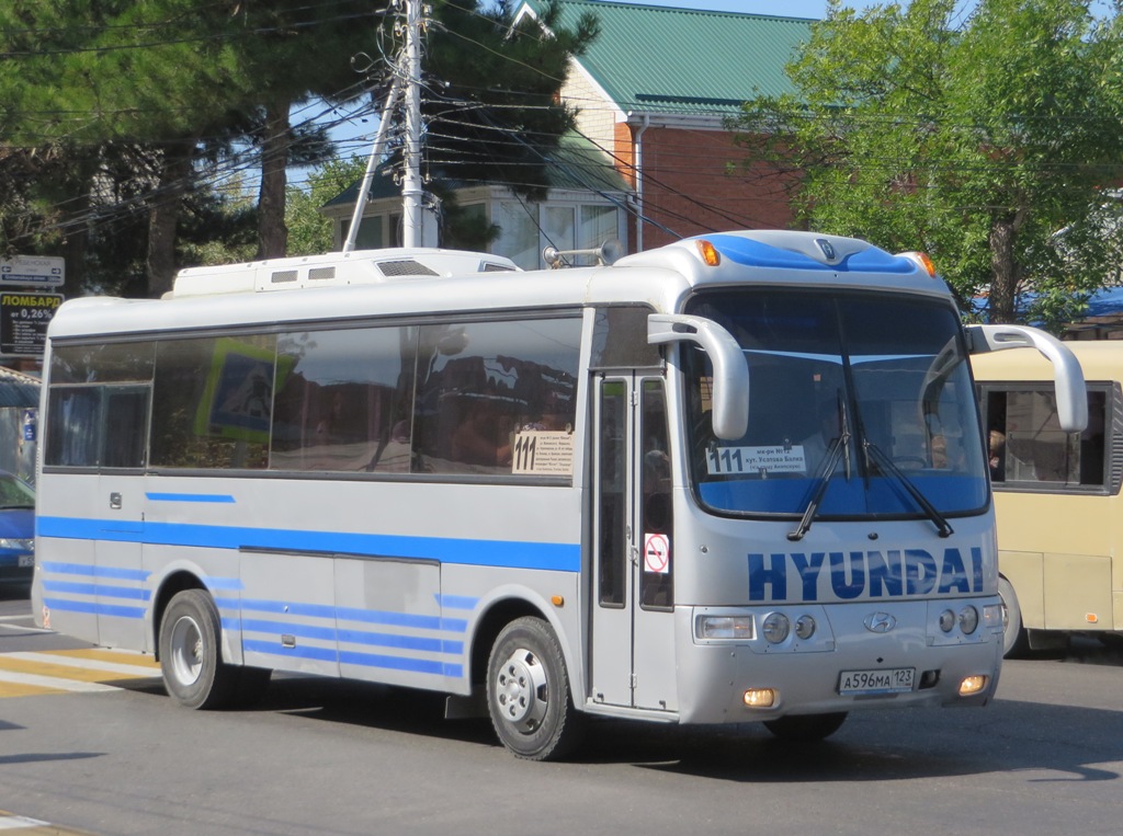 Маршрут 111 анапа. Автобус 123 Анапа. Автобус 123 Омск. Автобус Анапа-Минск.