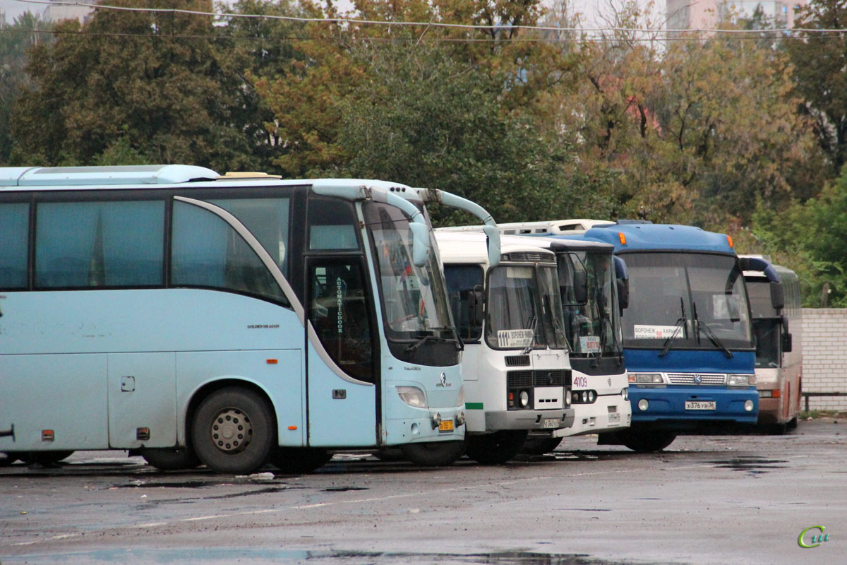 ПАЗ-32054 е360уе, Kia Granbird х376ув, Волжанин-52702 а959мм, Golden Dragon  XML6129E1A Grand Cruiser вв055 - Воронеж - Фото №101974 - Твой Транспорт