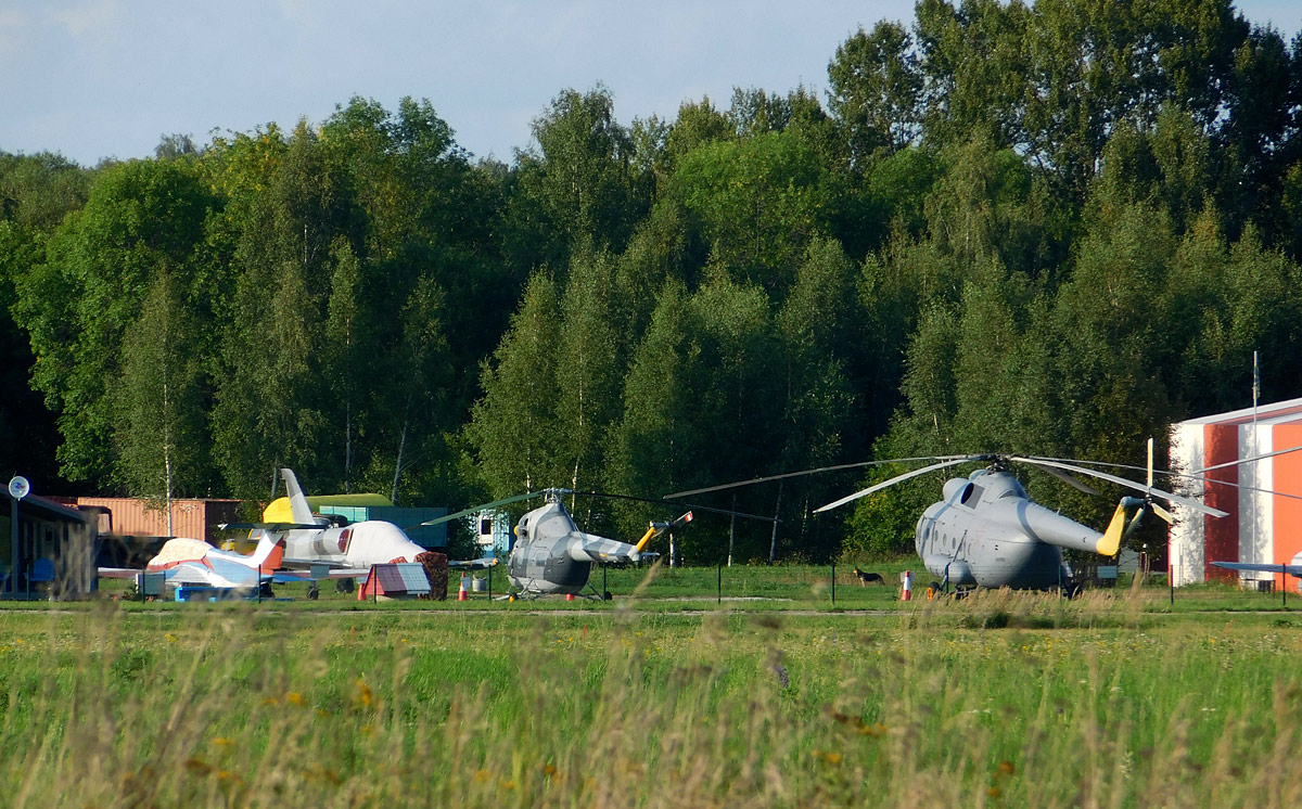 Воротынск. Вертолёты Ми-8 и Ми-2