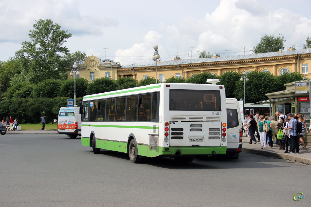 273 автобус пушкин