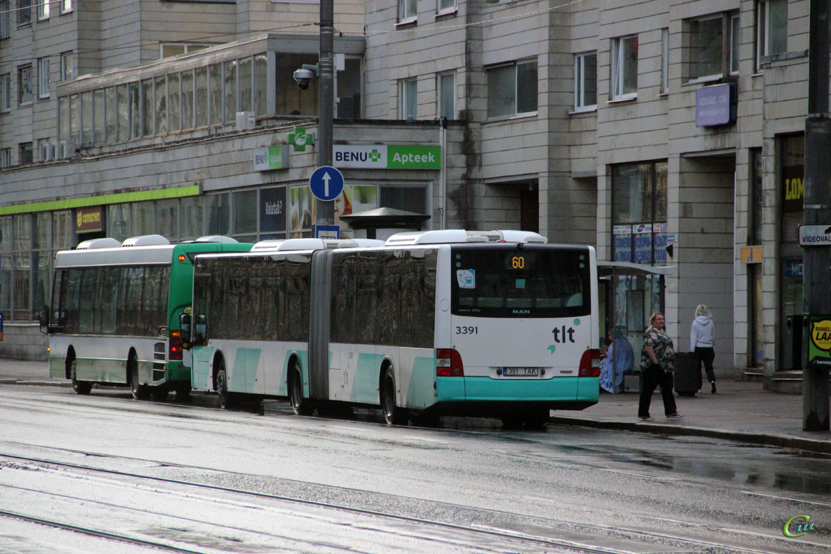 Таллин. MAN A40 Lion's City GL NG323 391 TAK