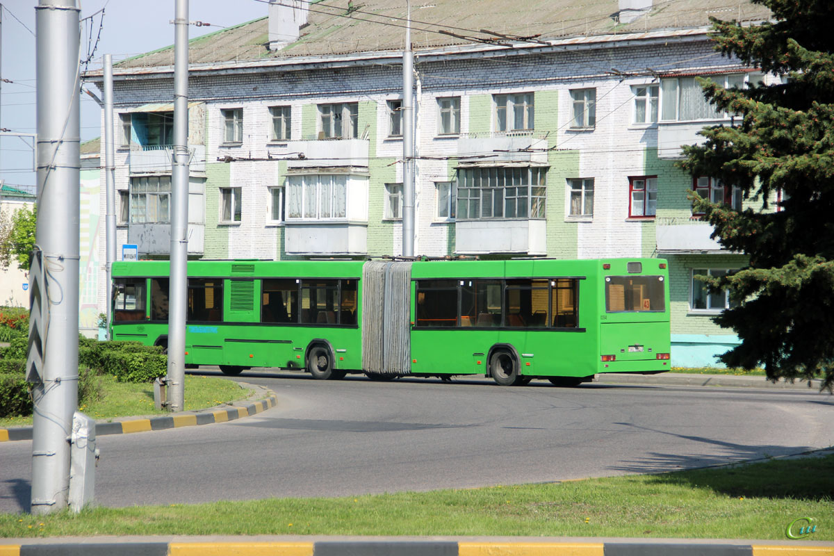 42 автобус гомель