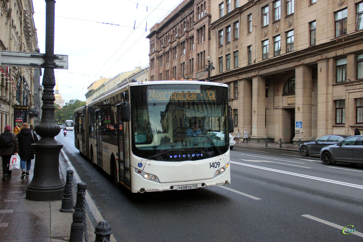 Санкт-Петербург. Volgabus-6271.05 у658тв