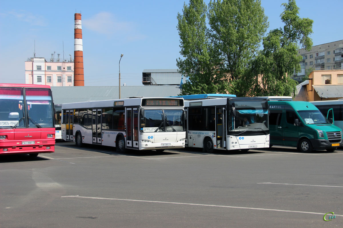 Гомель. МАЗ-103.485 AK3804-3, МАЗ-206.063 AK6943-3, Volkswagen Crafter 3TAX4450