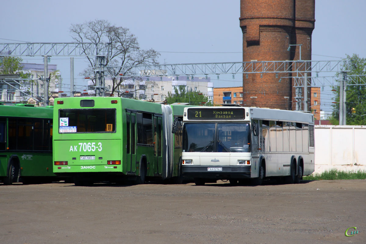 Транспорт гомель. Автобус МАЗ 107 065. Автобус МАЗ 105 041. Автобус МАЗ 105 065 Гомель. МАЗ 157.