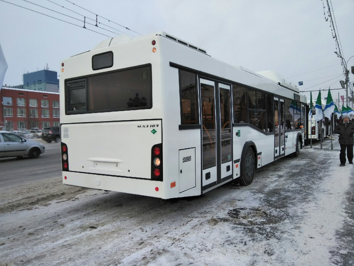 Новосибирск. МАЗ-103.965 №б/н 107