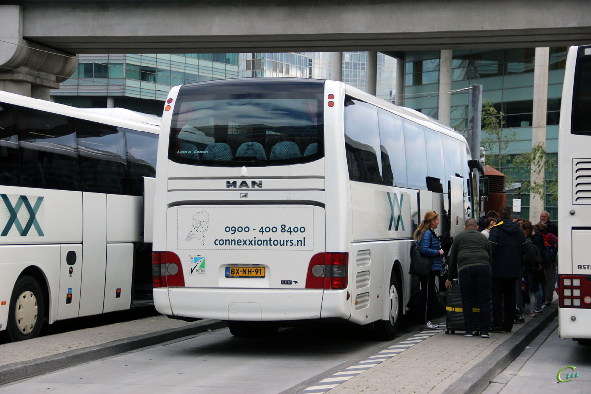 Амстердам. MAN R07 Lion's Coach BX-NH-91