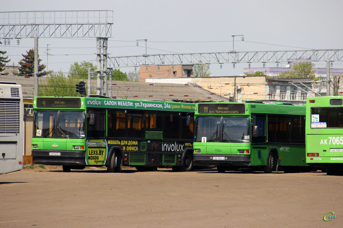 МАЗ-105.065 AB6495-3, МАЗ-107.066 AK5541-3 - Гомель - Фото №167210 - Твой  Транспорт