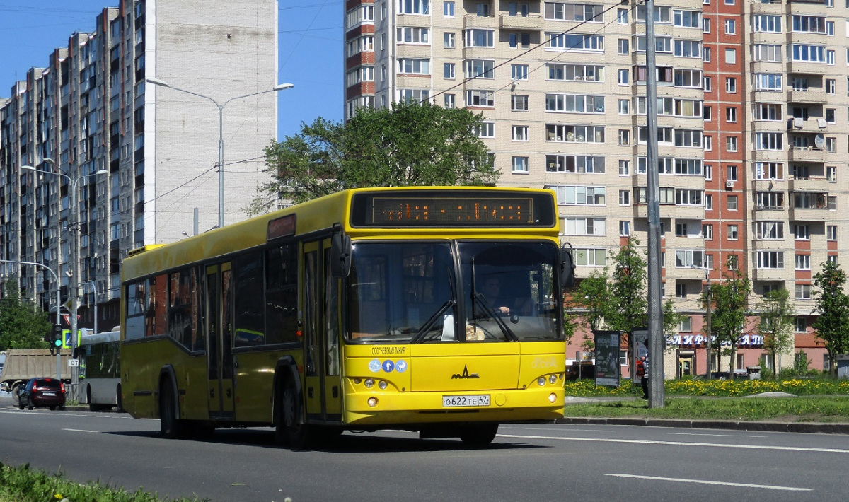 Санкт-Петербург. МАЗ-103.586 о622те