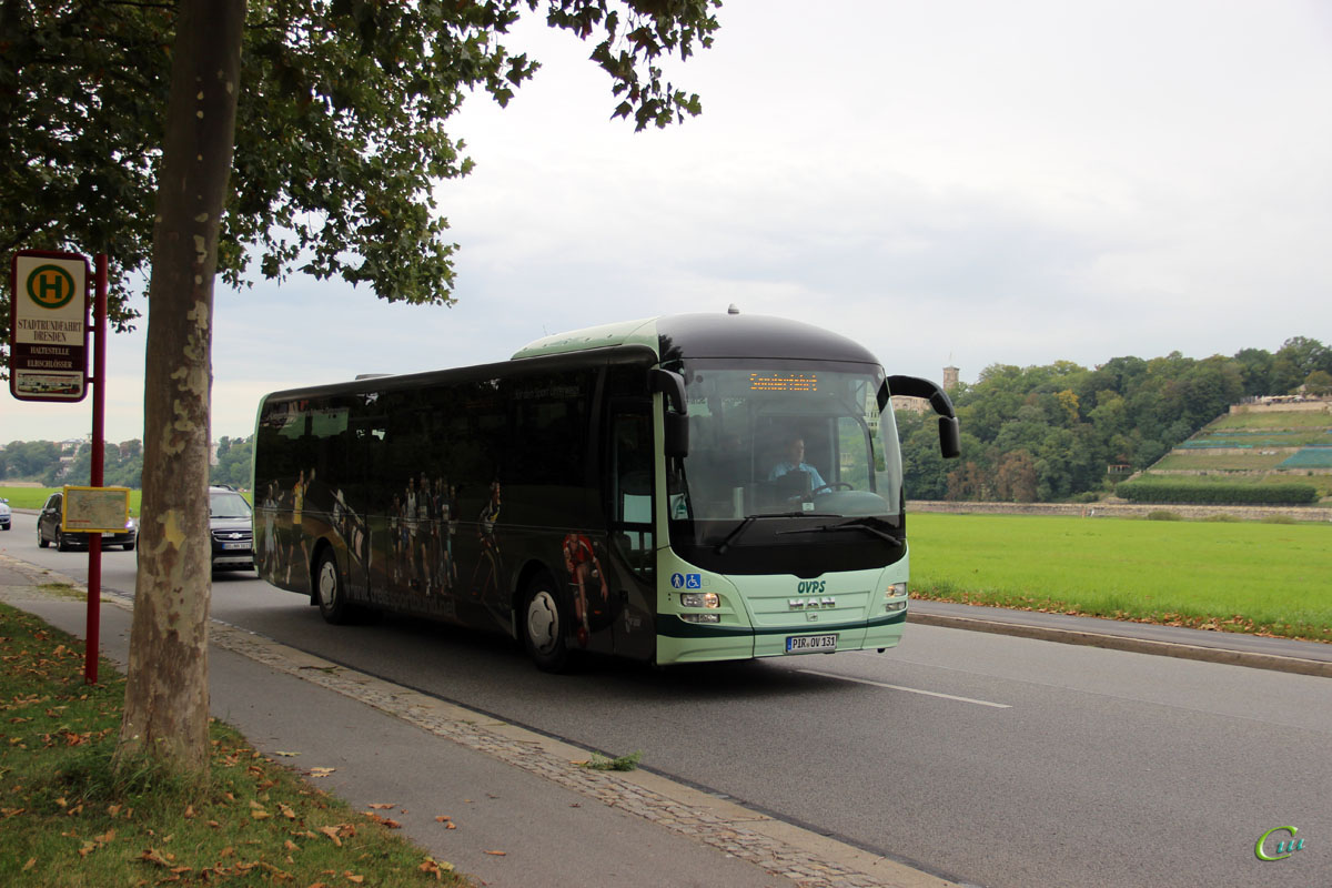 Дрезден. MAN R12 Lion's Regio PIR-OV 131