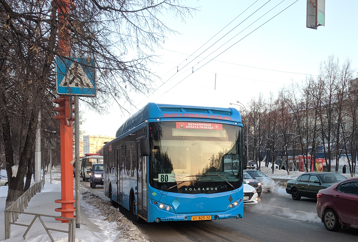 Кемерово. Volgabus-5270.G2 (CNG) ат825
