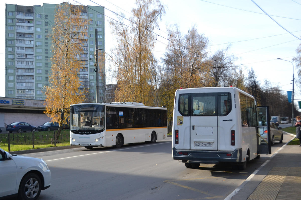 Видное. Volgabus-5270.0H а437тт, Луидор-225019 (ГАЗель Next) к210ук