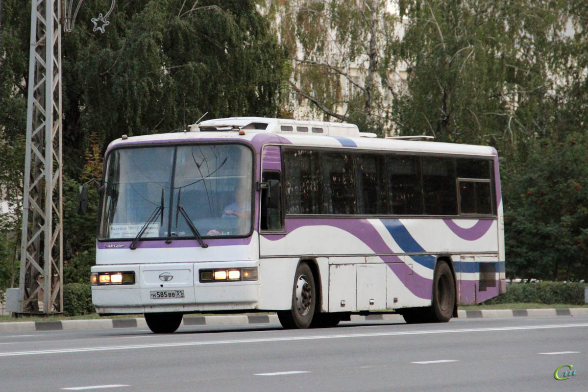 Daewoo BH113 н585вв - Белгород - Фото №187163 - Твой Транспорт