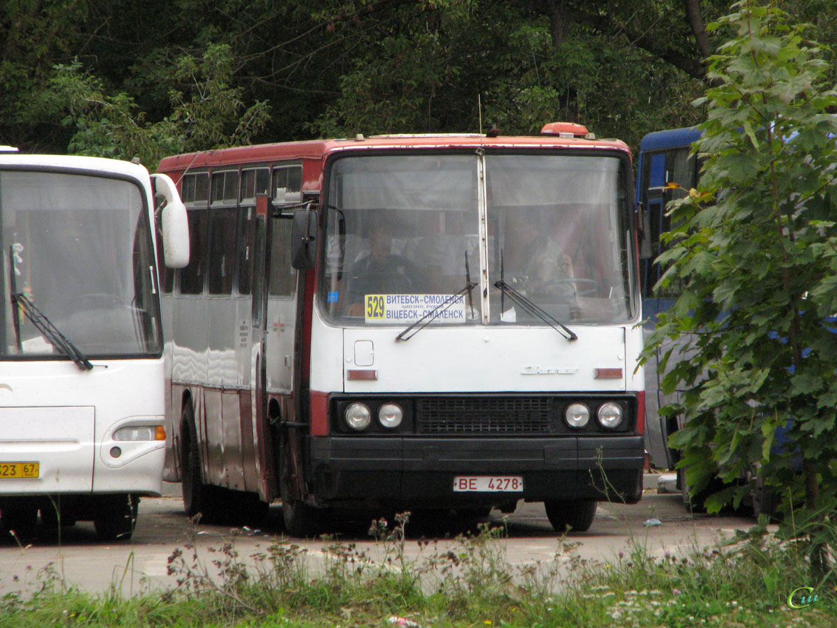 Ikarus 256 BE4278 - Смоленск - Фото №193788 - Твой Транспорт