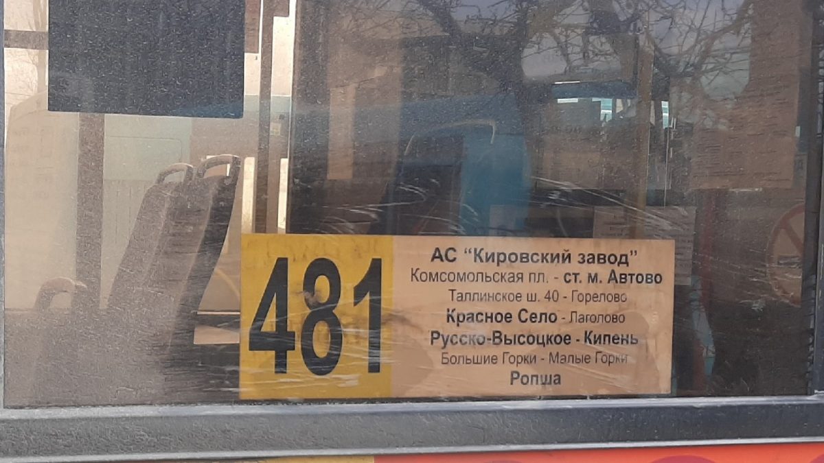 Санкт-Петербург. Табличка-трафарет автобусного маршрута 481