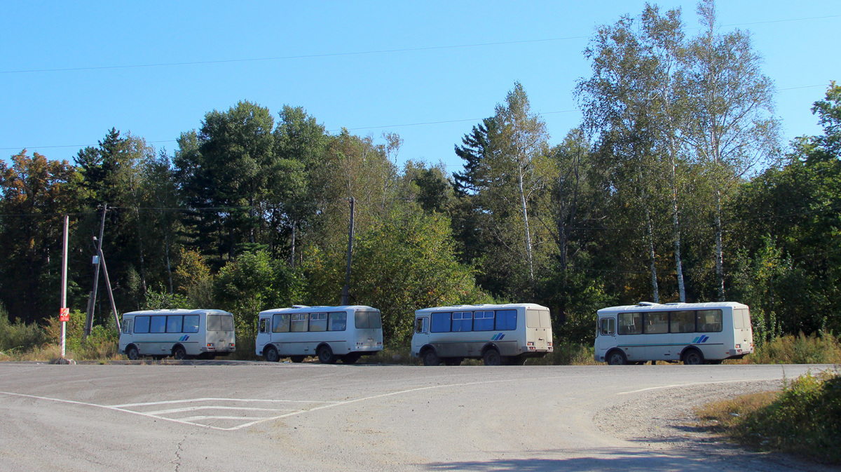 Хабаровск. Перегон автобусов ПАЗ-3205 в Ванино