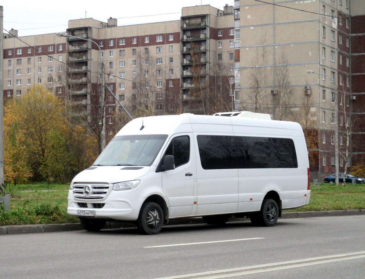 Санкт-Петербург. Луидор-223602 (Mercedes-Benz Sprinter) в313ум