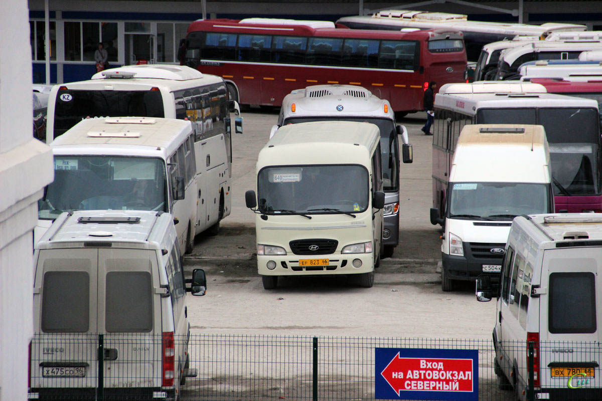 Hyundai County SWB ер823, Нижегородец-2227 (IVECO Daily) х475со,  Самотлор-НН-3240 (IVECO Daily) вх780, Нижегородец-2227 (Ford Transit)  с504кн - Екатеринбург - Фото №212366 - Твой Транспорт