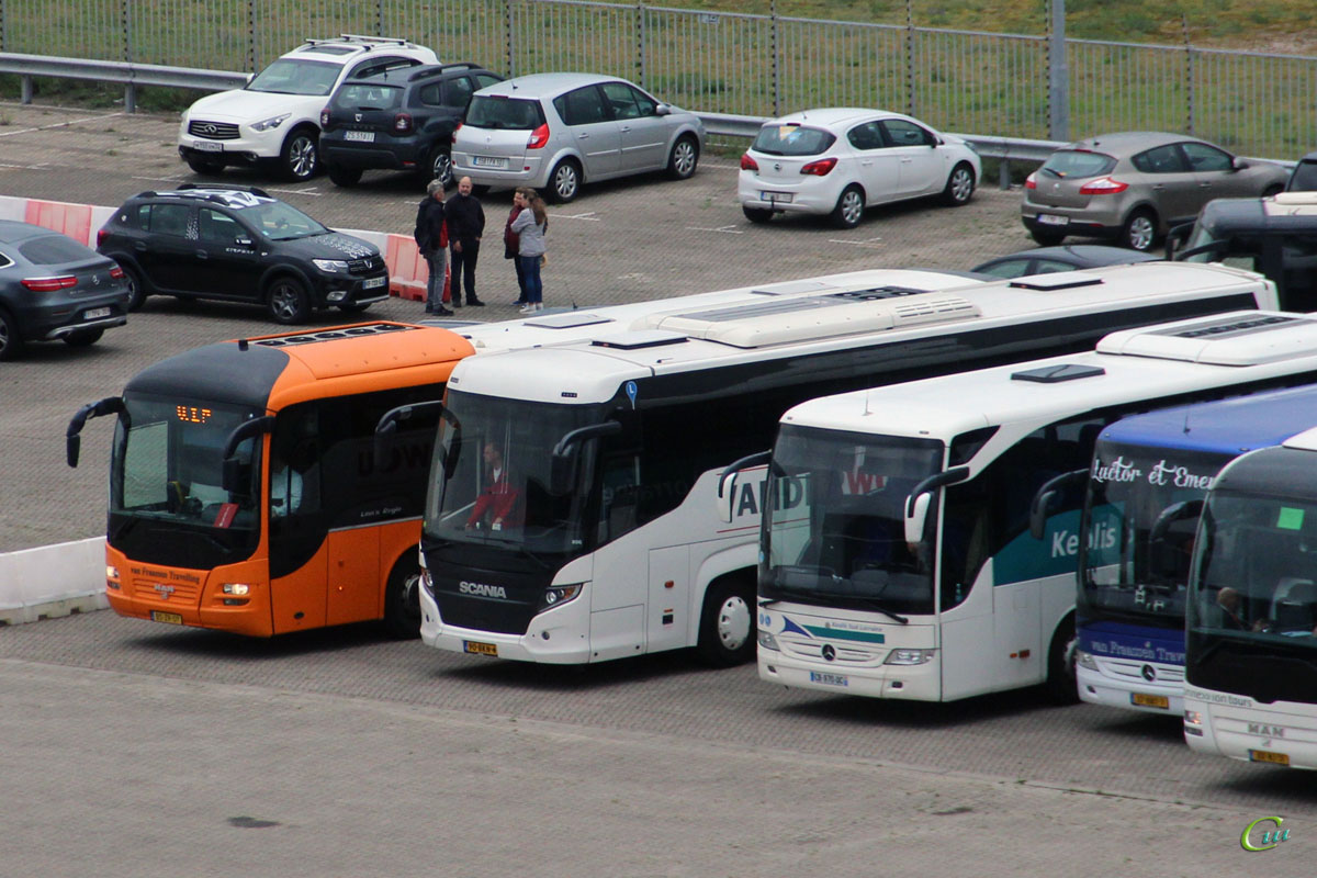 Эймёйден. Scania Touring HD (Higer A80T) 90-BKN-4, Mercedes-Benz Tourismo CB-970-QC, MAN R14 Lion's Regio C BS-ZR-07