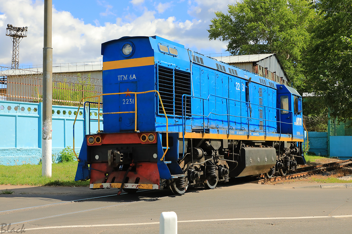 ТГМ6А-2231 - Подольск (Россия) - Фото №219163 - Твой Транспорт