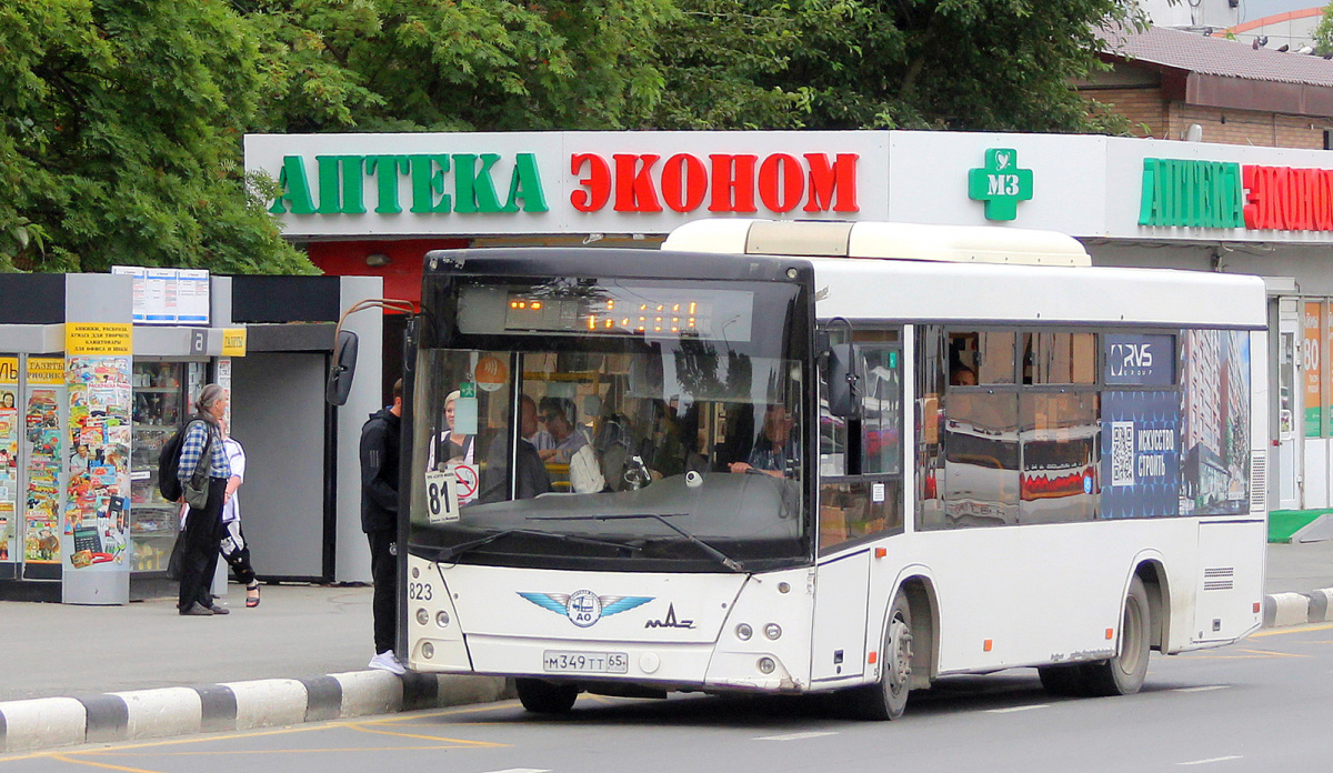 Анива южно сахалинск автобус 111. МАЗ-206 автобус. 81 Автобус. Автобус 206 маршрут. Автобус 99 МАЗ.