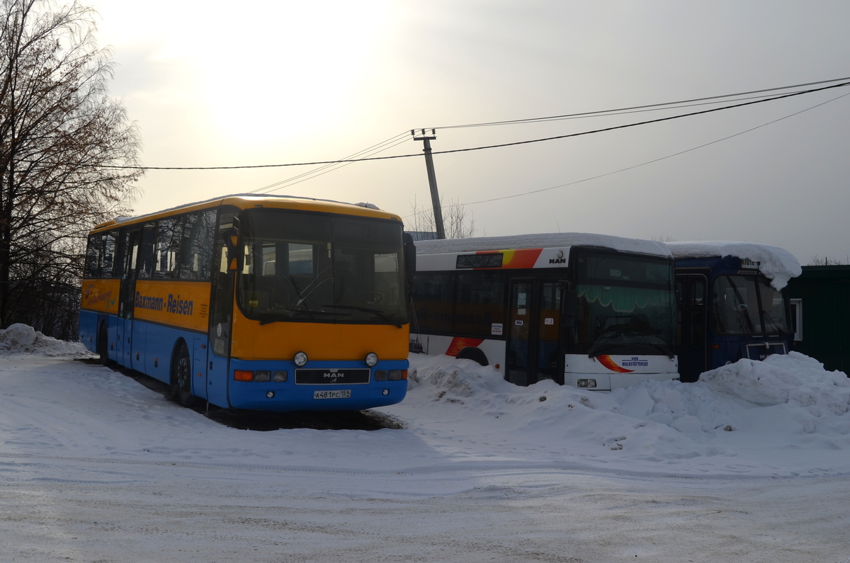 Автобусы MAN A01 ÜL313/353/363 (а481рс 159), MAN A20 NÜ313 (н115вр 159) и н...