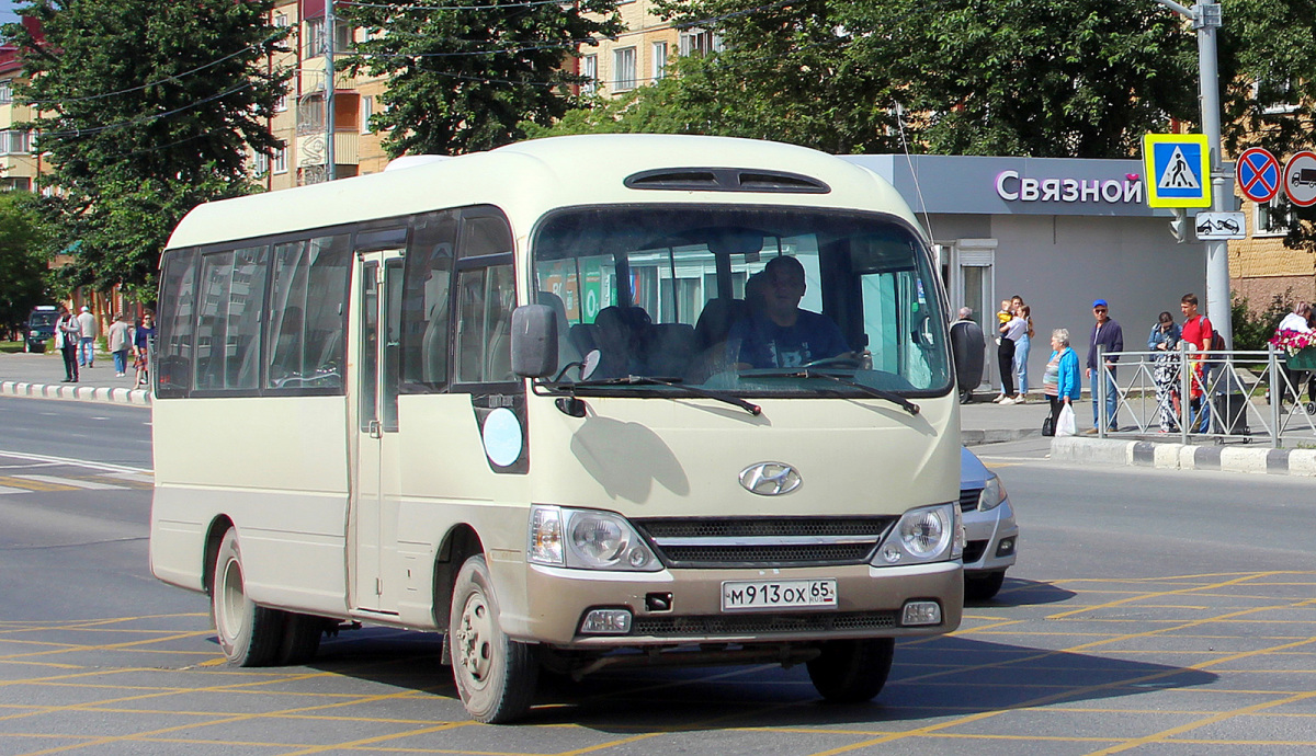 Hyundai County Deluxe м913ох - Южно-Сахалинск - Фото №221643 - Твой  Транспорт