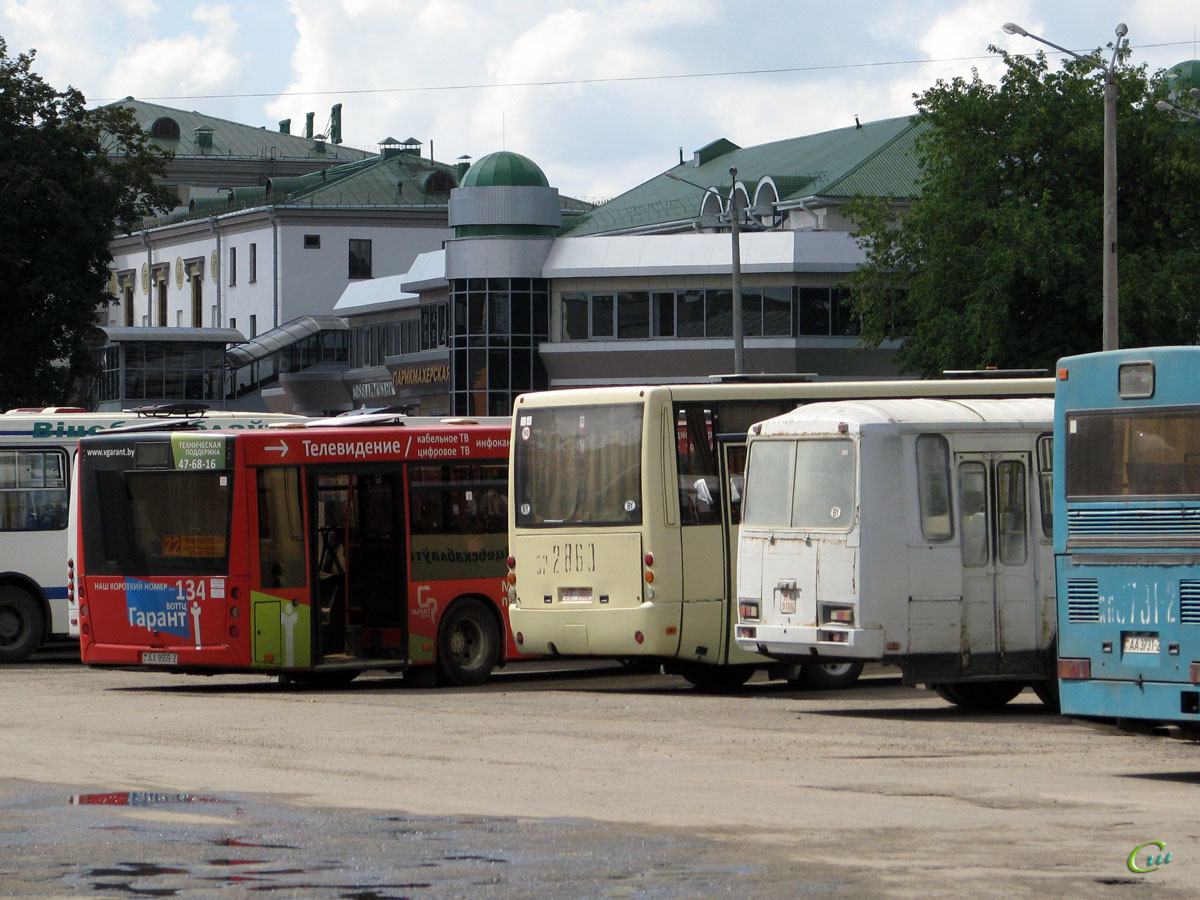 МАЗ-203.067 AA9559-2, МАЗ-256.200 BB2860, ПАЗ-4234 BA9186 - Витебск - Фото  №234097 - Твой Транспорт