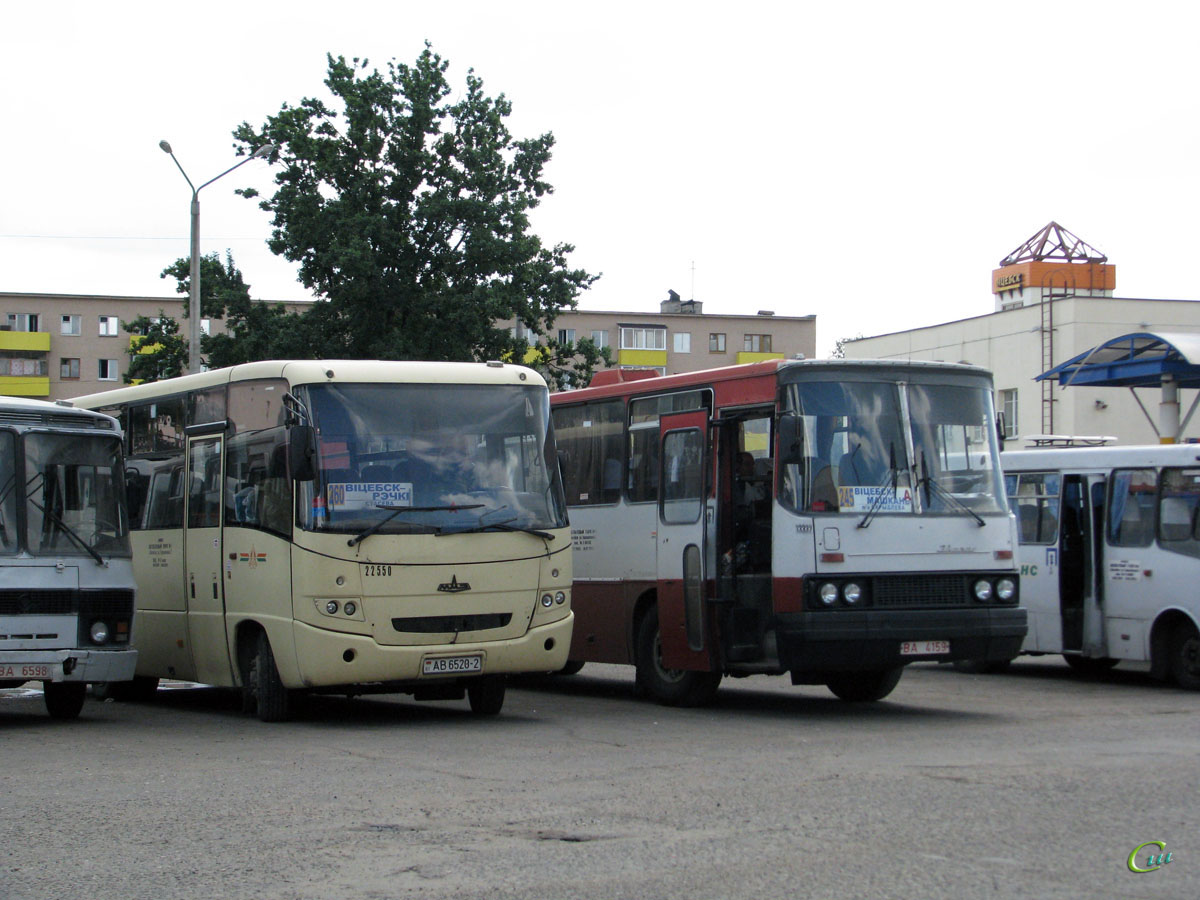 Витебск. Ikarus 250.59 BA4159, МАЗ-256.200 AB6520-2