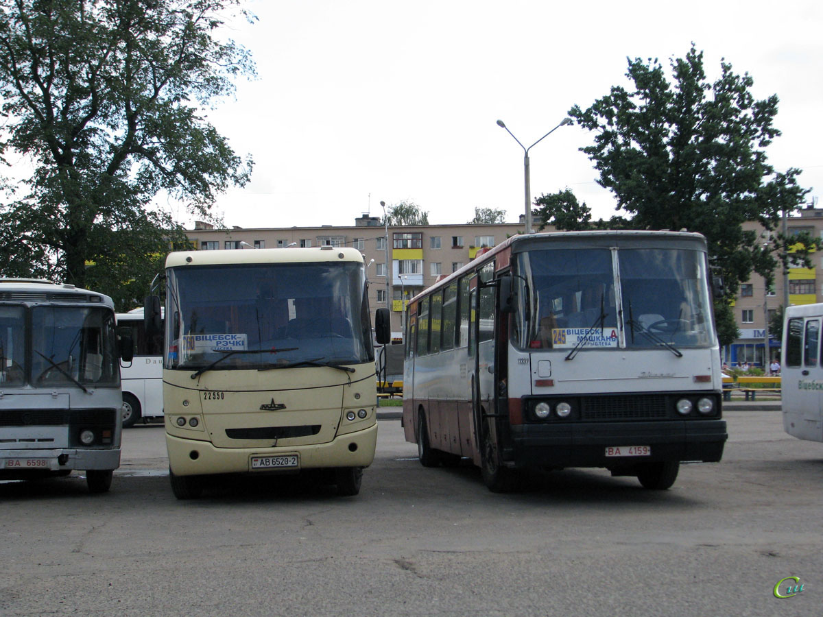 Витебск. Ikarus 250.59 BA4159, МАЗ-256.200 AB6520-2