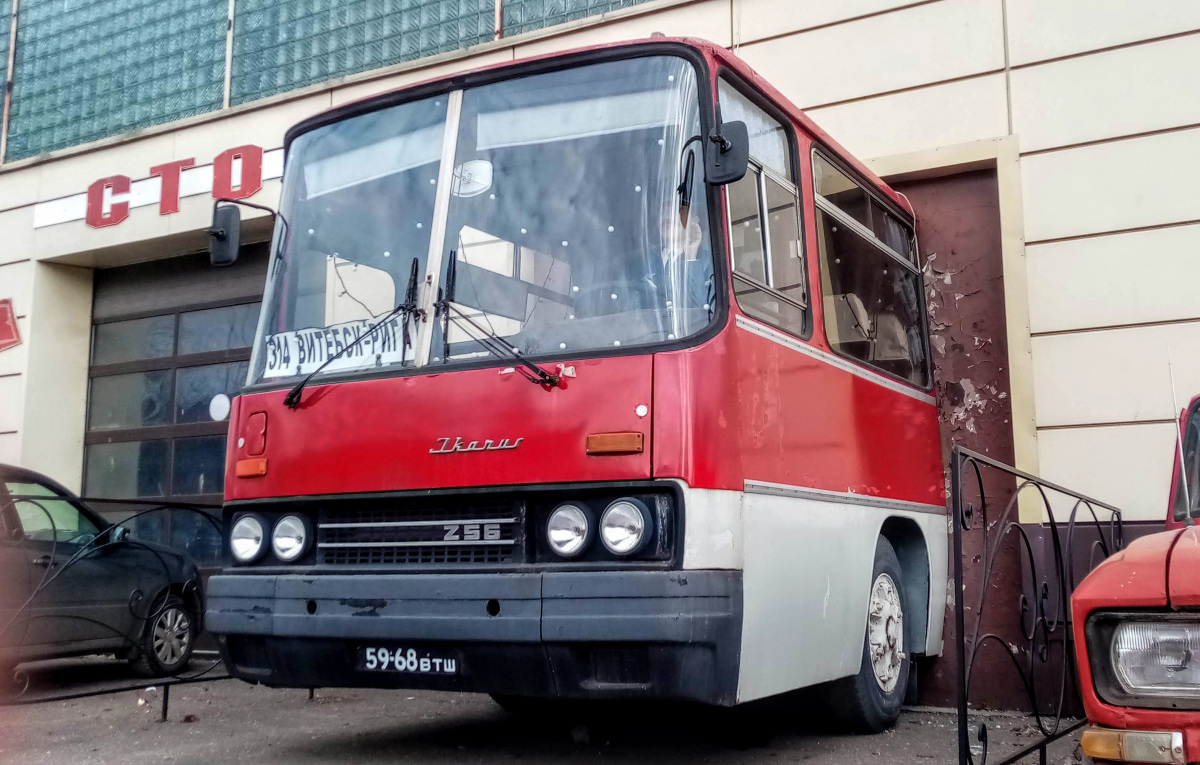 Ikarus 256.75 59-68ВТШ - Витебск - Фото №245724 - Твой Транспорт