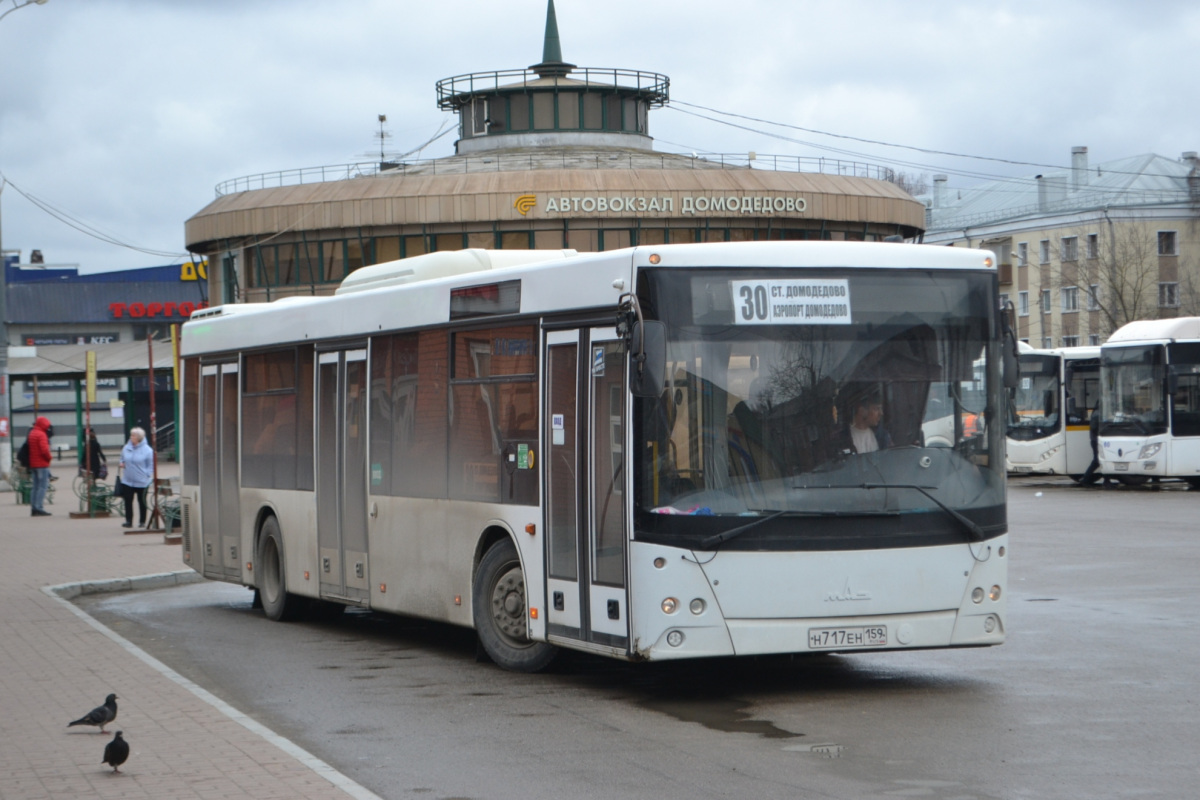 МАЗ-203.016 н717ен - Домодедово - Фото №246533 - Твой Транспорт