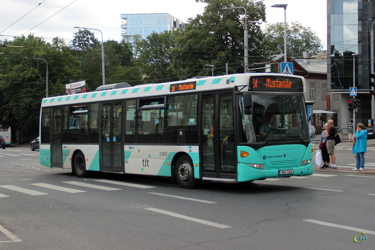 Таллин. Scania OmniLink CK270UB 365 TAK
