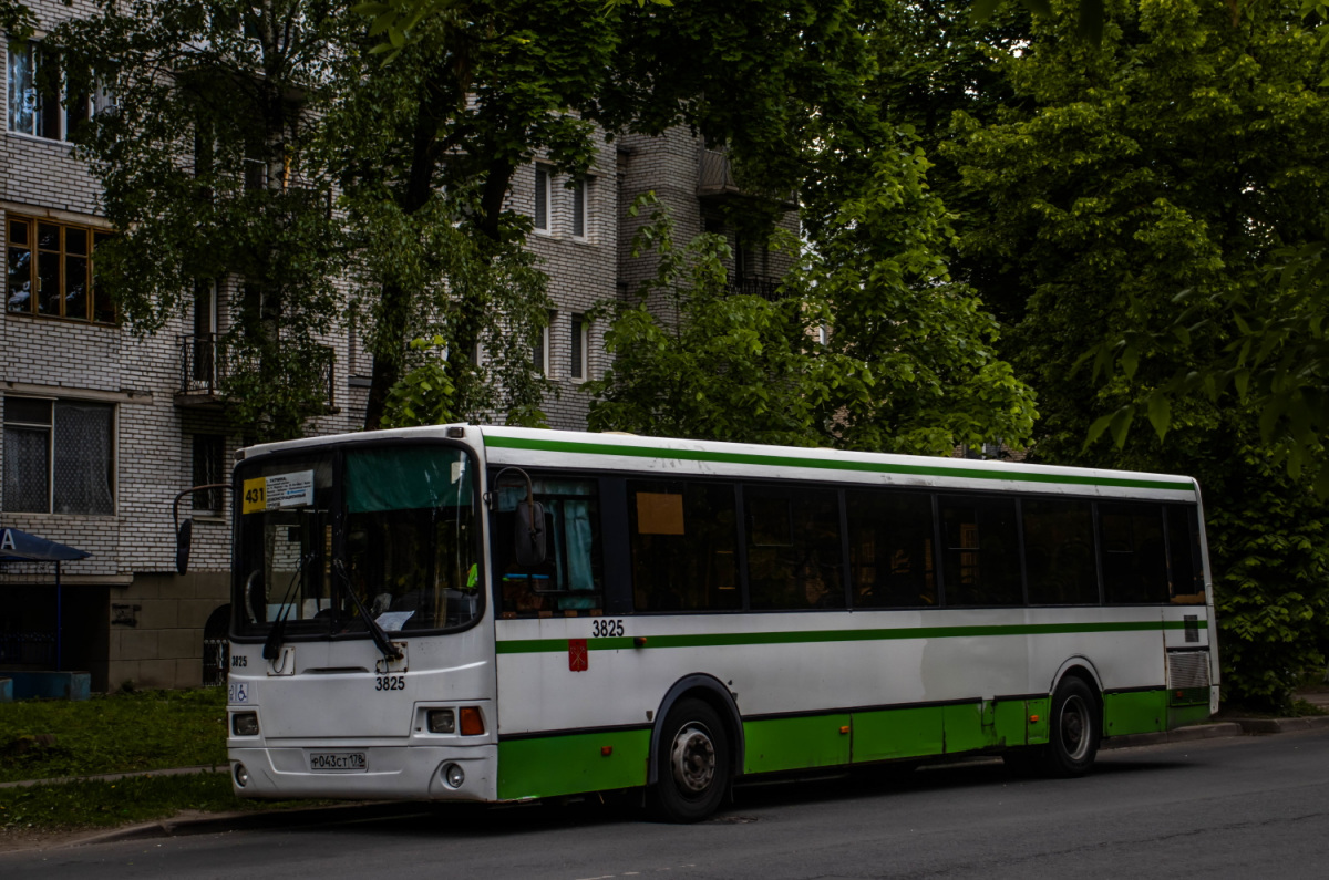 Пригородные автобусы гатчина